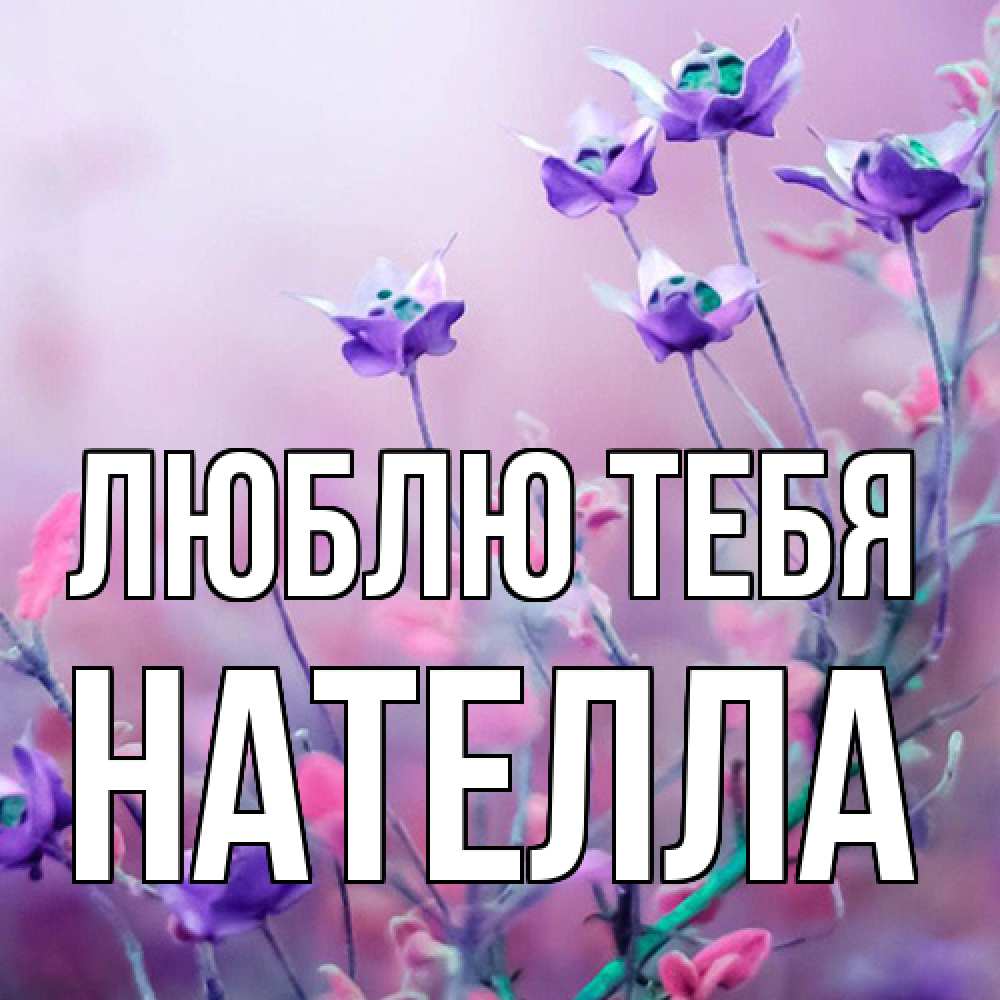Открытка на каждый день с именем, Нателла Люблю тебя международный женский день 2 Прикольная открытка с пожеланием онлайн скачать бесплатно 