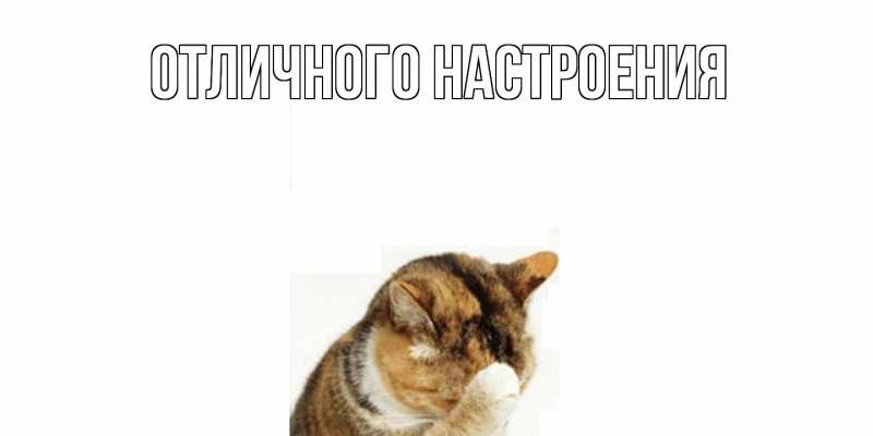 Картинка Не обижайся, Серафима