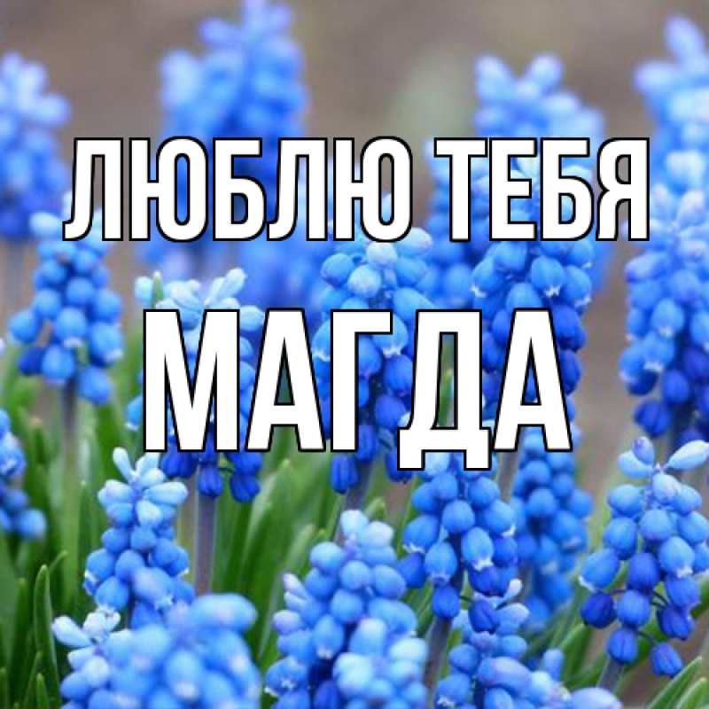Картинка Люблю тебя, Магда