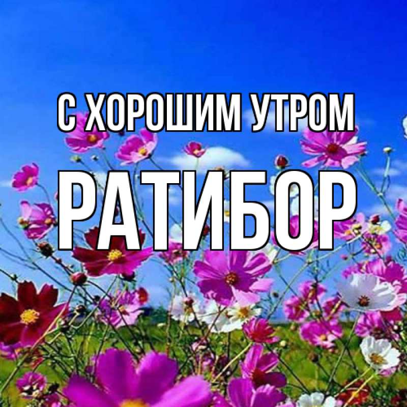 Картинка С хорошим утром, Ратибор