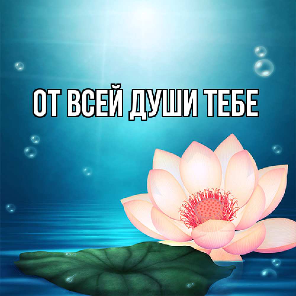 Открытка на каждый день с именем, выберите-имя От всей души тебе кувшинка Прикольная открытка с пожеланием онлайн скачать бесплатно 