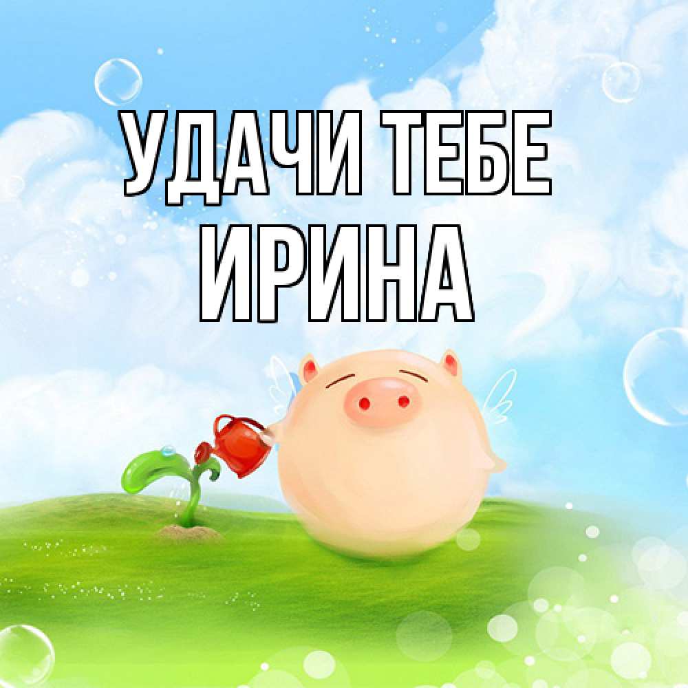 Открытка на каждый день с именем, Ирина Удачи тебе поросенок поливает цветок. летнее настроение Прикольная открытка с пожеланием онлайн скачать бесплатно 