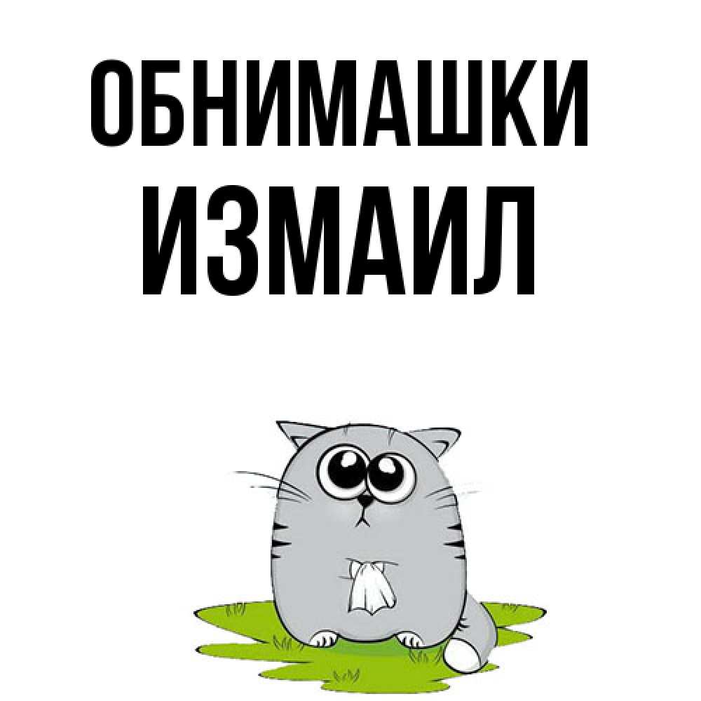 Открытка на каждый день с именем, Измаил Обнимашки котик теребит платочек сидя на травке Прикольная открытка с пожеланием онлайн скачать бесплатно 