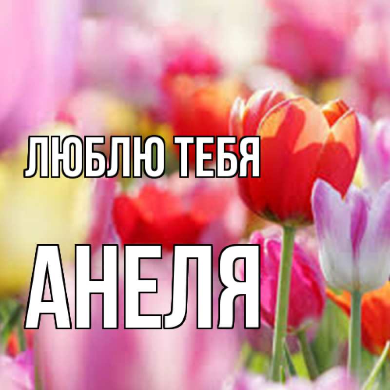Картинка Люблю тебя, Анеля