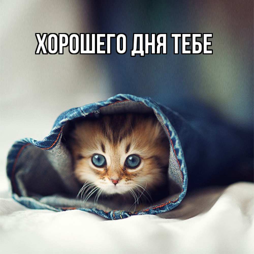 Открытка на каждый день с именем, Теодор Я жду тебя мне без тебя плохо Прикольная открытка с пожеланием онлайн скачать бесплатно 