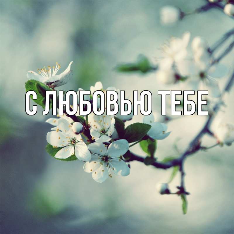 Открытка с именем, Сания, Скучашки