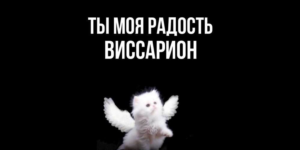Открытка на каждый день с именем, Виссарион Ты моя радость Кот ангел Прикольная открытка с пожеланием онлайн скачать бесплатно 