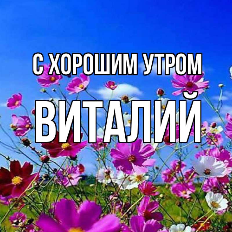 Картинка С хорошим утром, Виталий