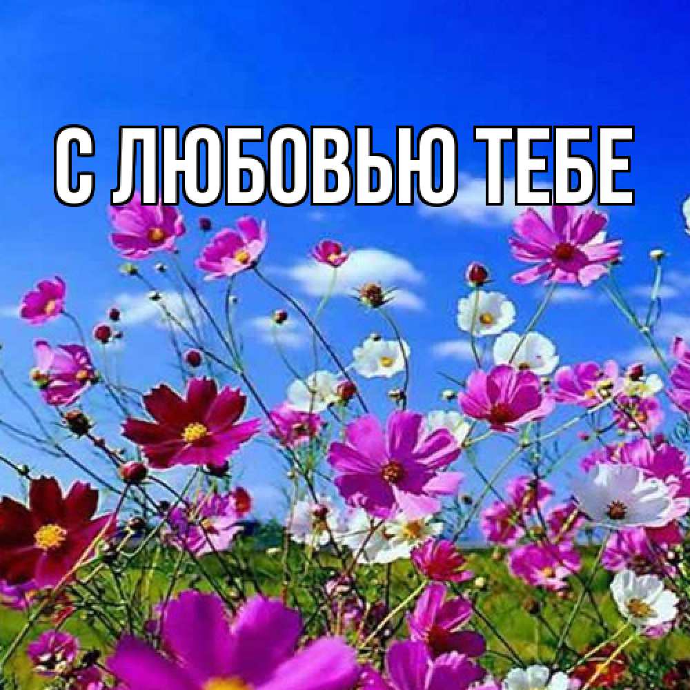 Открытка на каждый день с именем, Жан Люблю тебя цветы Прикольная открытка с пожеланием онлайн скачать бесплатно 