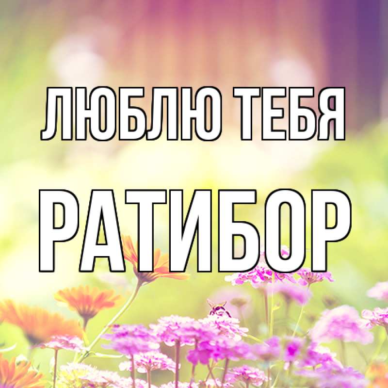 Картинка Люблю тебя, Ратибор