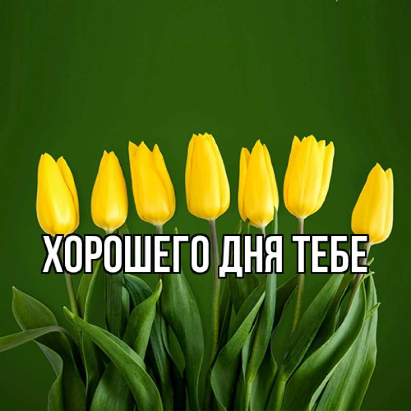 Картинка Люблю тебя, Измаил