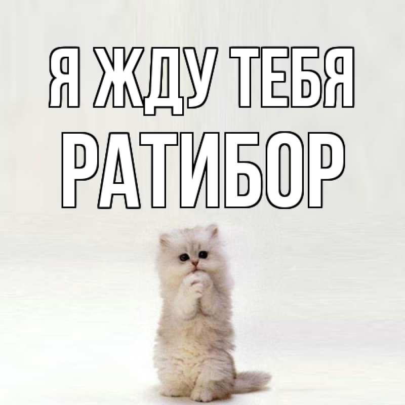 Картинка Я жду тебя, Ратибор
