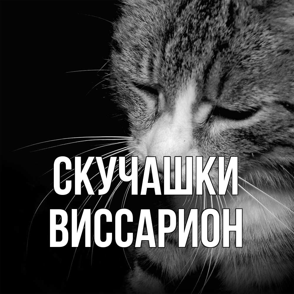 Открытка на каждый день с именем, Виссарион Скучашки мне скучно Прикольная открытка с пожеланием онлайн скачать бесплатно 