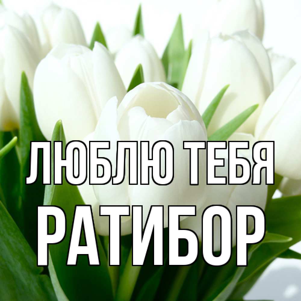 Открытка на каждый день с именем, Ратибор Люблю тебя цветы Прикольная открытка с пожеланием онлайн скачать бесплатно 