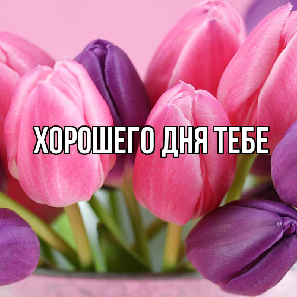 Открытка на каждый день с именем, Гастон Люблю тебя маме 1 Прикольная открытка с пожеланием онлайн скачать бесплатно 