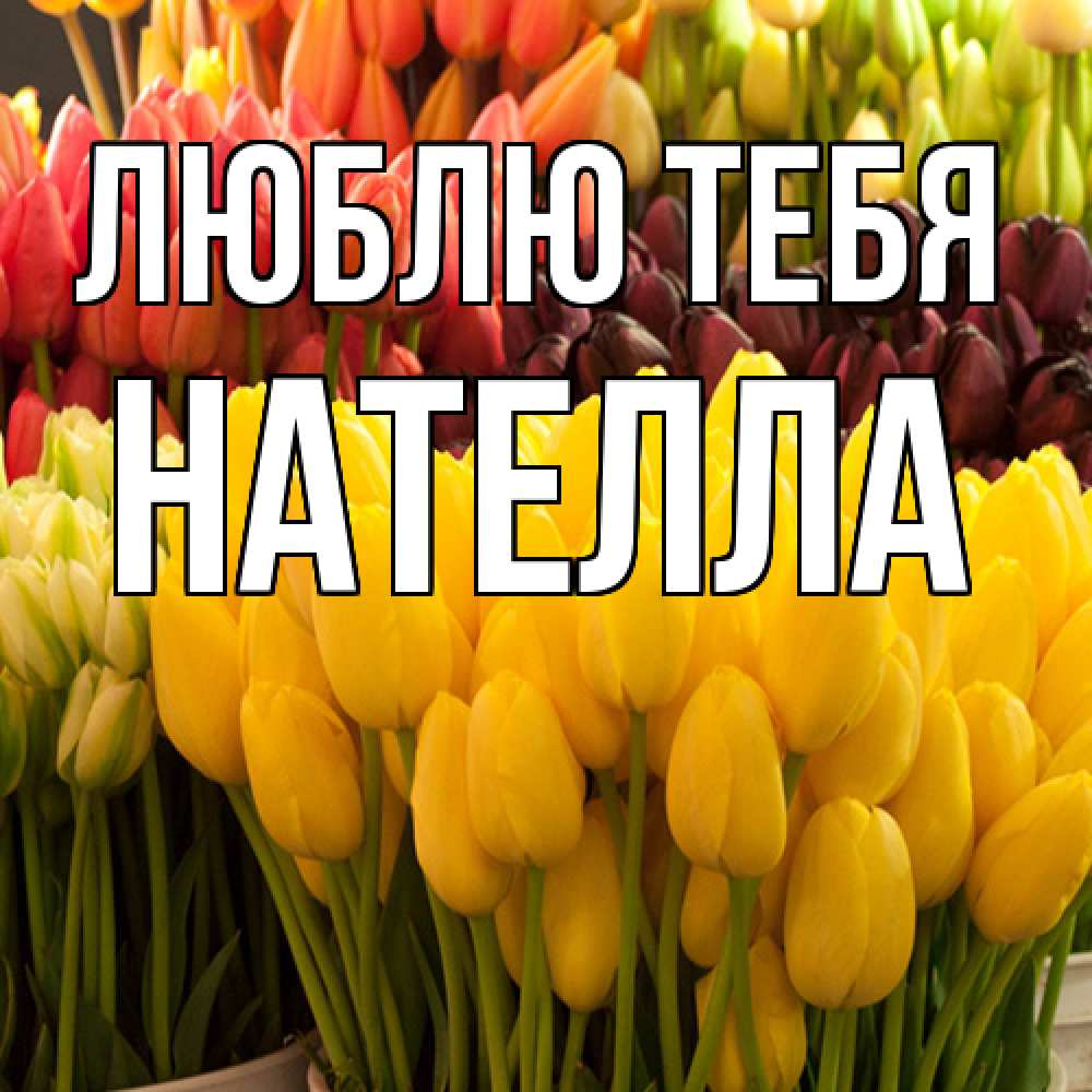Открытка на каждый день с именем, Нателла Люблю тебя цветы Прикольная открытка с пожеланием онлайн скачать бесплатно 