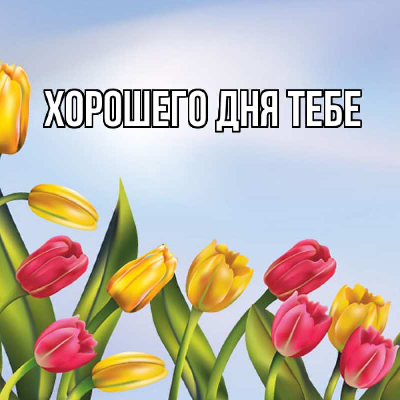 Картинка Люблю тебя, Гастон