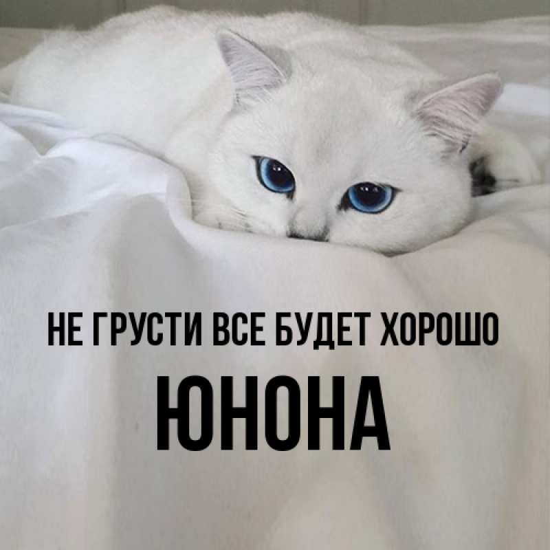 Открытка с именем, Юнона, Не грусти все будет хорошо