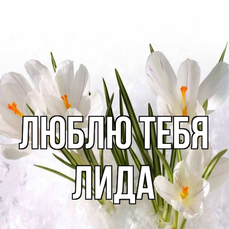 Картинка Люблю тебя, Лида