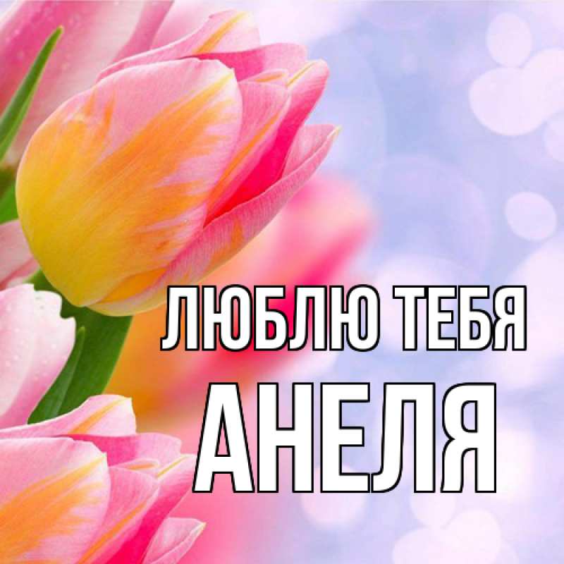 Картинка Люблю тебя, Анеля