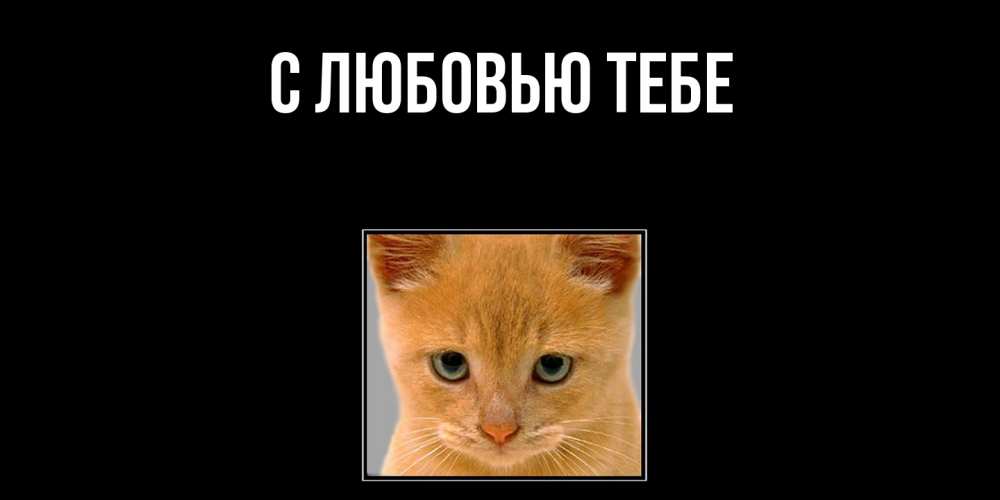 Открытка на каждый день с именем, Магда Скучашки открытки рыжий котенок скучает по тебе Прикольная открытка с пожеланием онлайн скачать бесплатно 