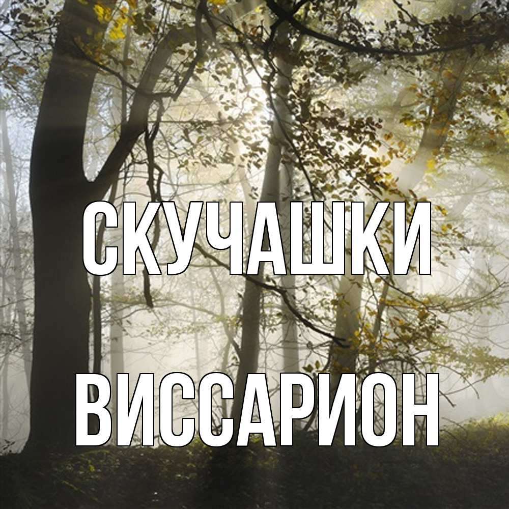 Открытка на каждый день с именем, Виссарион Скучашки грустно Прикольная открытка с пожеланием онлайн скачать бесплатно 