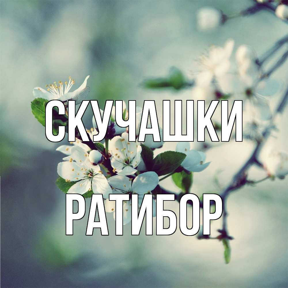 Открытка на каждый день с именем, Ратибор Скучашки весна Прикольная открытка с пожеланием онлайн скачать бесплатно 