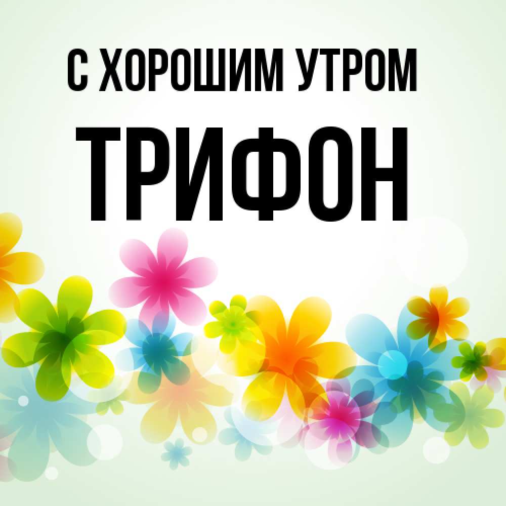 Открытка на каждый день с именем, Трифон С хорошим утром позитивные цветочки Прикольная открытка с пожеланием онлайн скачать бесплатно 