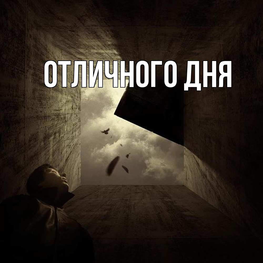 Открытка на каждый день с именем, Леся Скучашки тут Прикольная открытка с пожеланием онлайн скачать бесплатно 