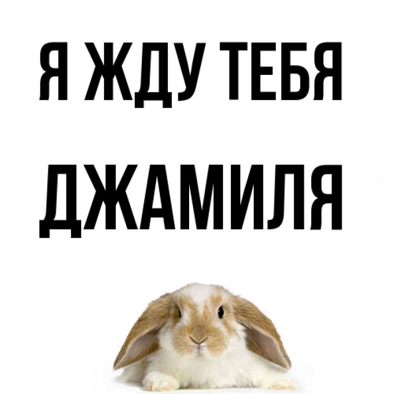 Картинка Я жду тебя, Джамиля