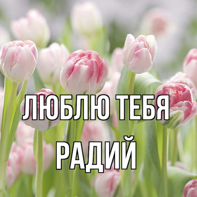 Картинка Люблю тебя, Радий