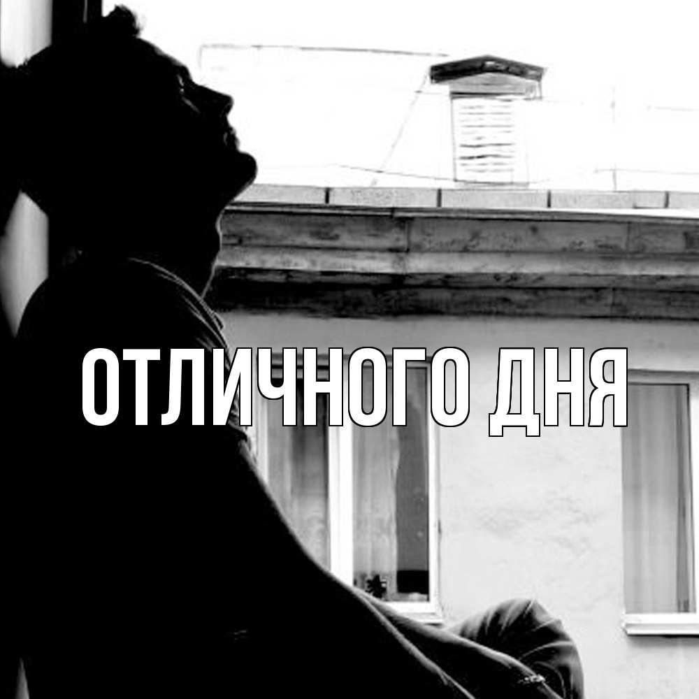 Открытка на каждый день с именем, Леся Скучашки скучно ему Прикольная открытка с пожеланием онлайн скачать бесплатно 