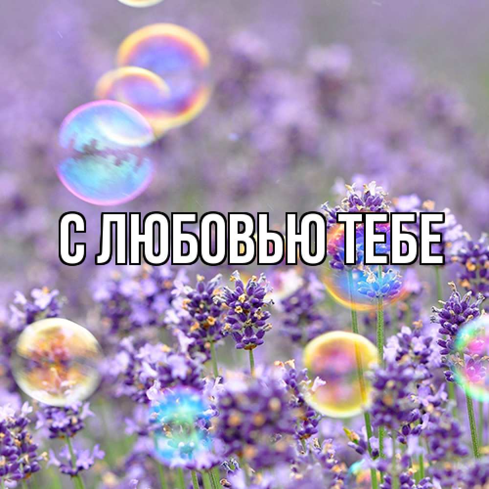 Открытка на каждый день с именем, Жан Люблю тебя цветы Прикольная открытка с пожеланием онлайн скачать бесплатно 