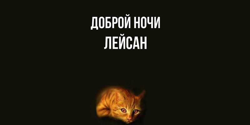 Картинка Доброй ночи, Лейсан