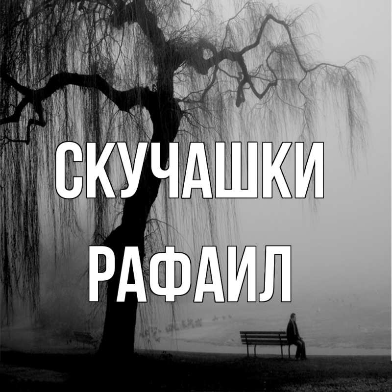 Картинка Скучашки, Рафаил