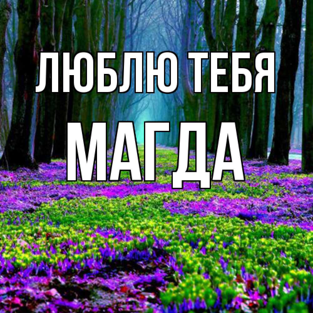 Открытка на каждый день с именем, Магда Люблю тебя фиолетовые цветы в лесу 1 Прикольная открытка с пожеланием онлайн скачать бесплатно 