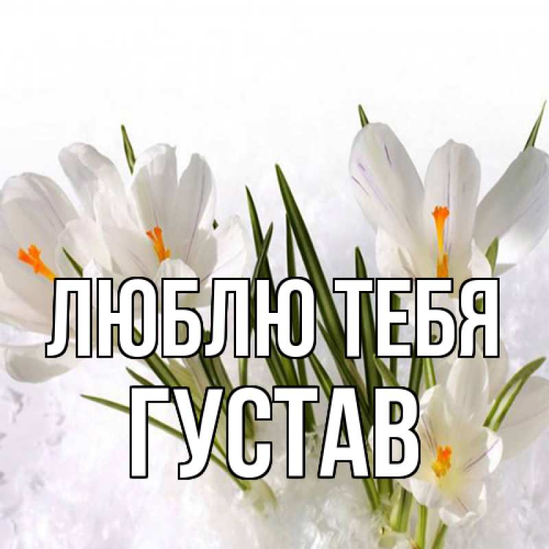 Картинка Люблю тебя, Густав