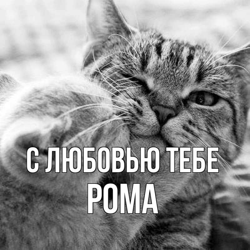 Картинка С любовью тебе, Рома