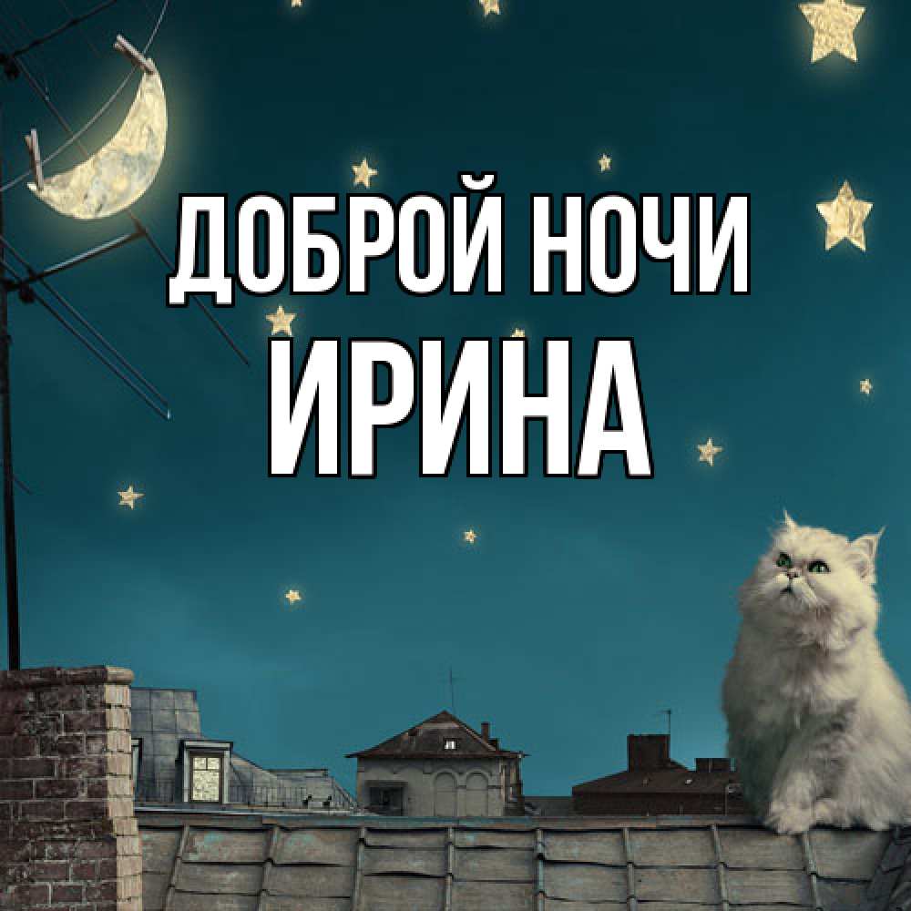Открытка на каждый день с именем, Ирина Доброй ночи белый кот сидит на крыше Прикольная открытка с пожеланием онлайн скачать бесплатно 