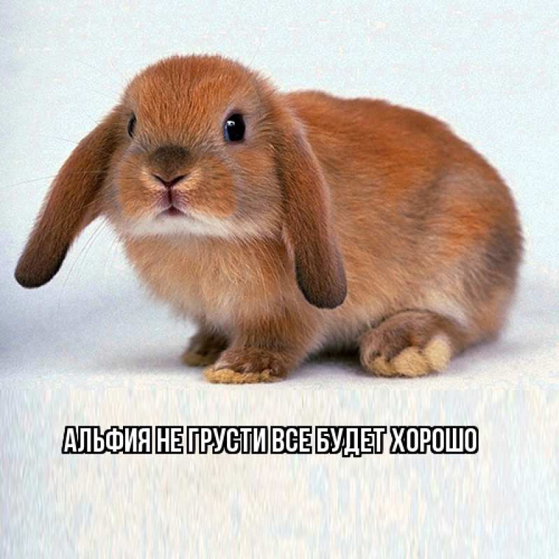 Открытка с именем, Альфия, Не грусти все будет хорошо