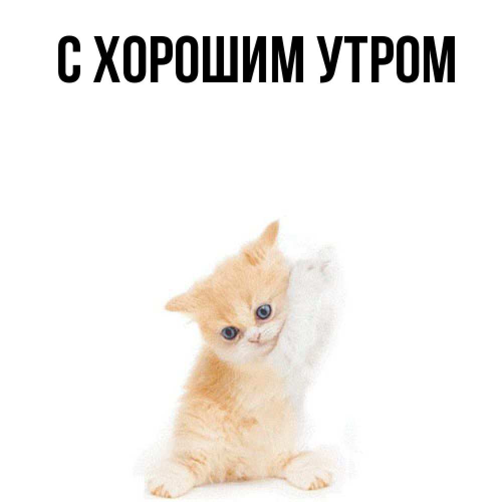 Открытка на каждый день с именем, Анеля Обнимашки я хочу очень скорее обнимаешек Прикольная открытка с пожеланием онлайн скачать бесплатно 