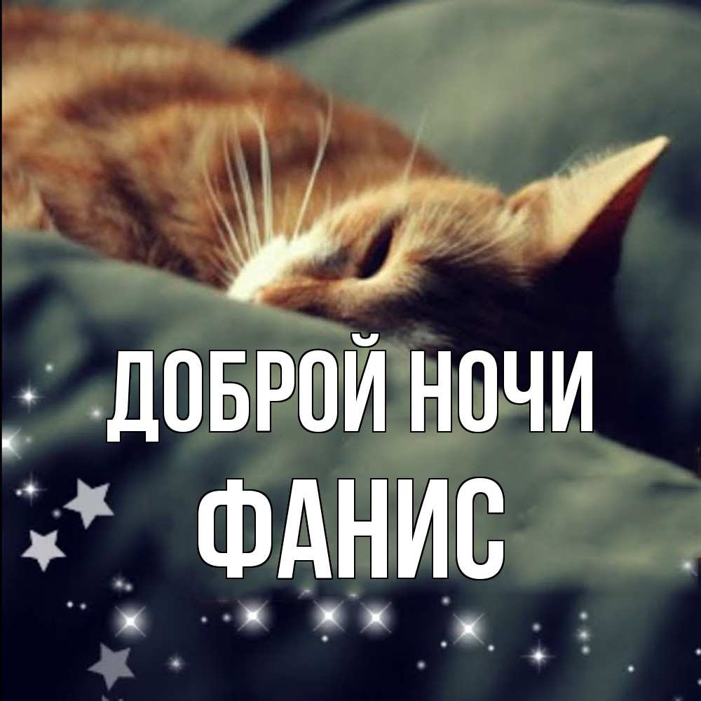 Открытка на каждый день с именем, Фанис Доброй ночи кроватка Прикольная открытка с пожеланием онлайн скачать бесплатно 