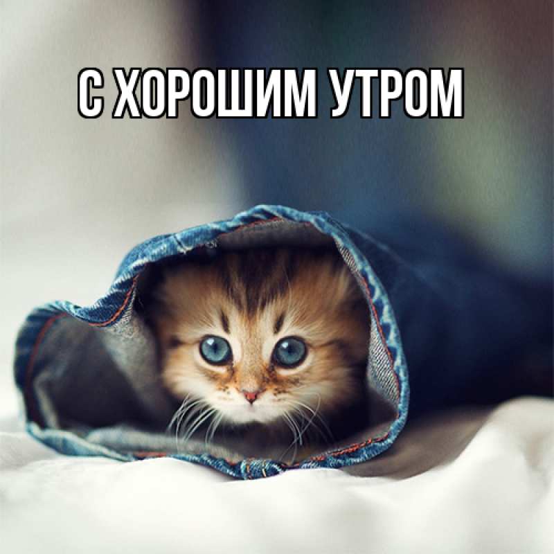 Картинка Я жду тебя, Тина