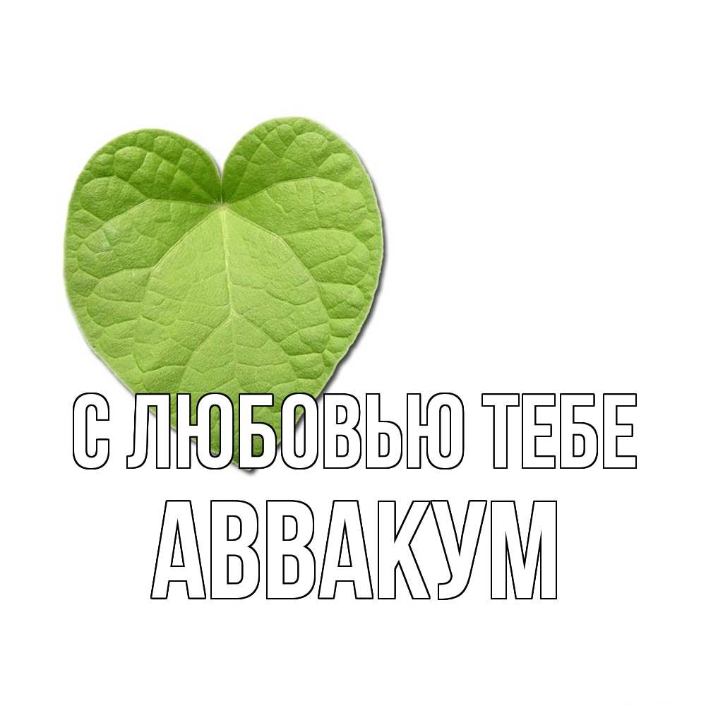 Открытка на каждый день с именем, Аввакум С любовью тебе тебе Прикольная открытка с пожеланием онлайн скачать бесплатно 