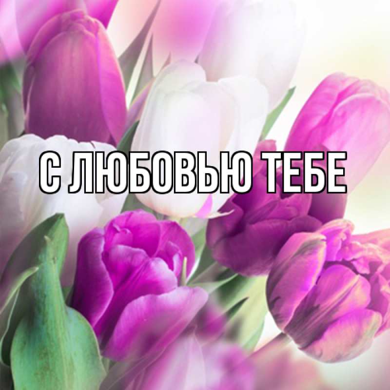 Картинка Люблю тебя, Аза