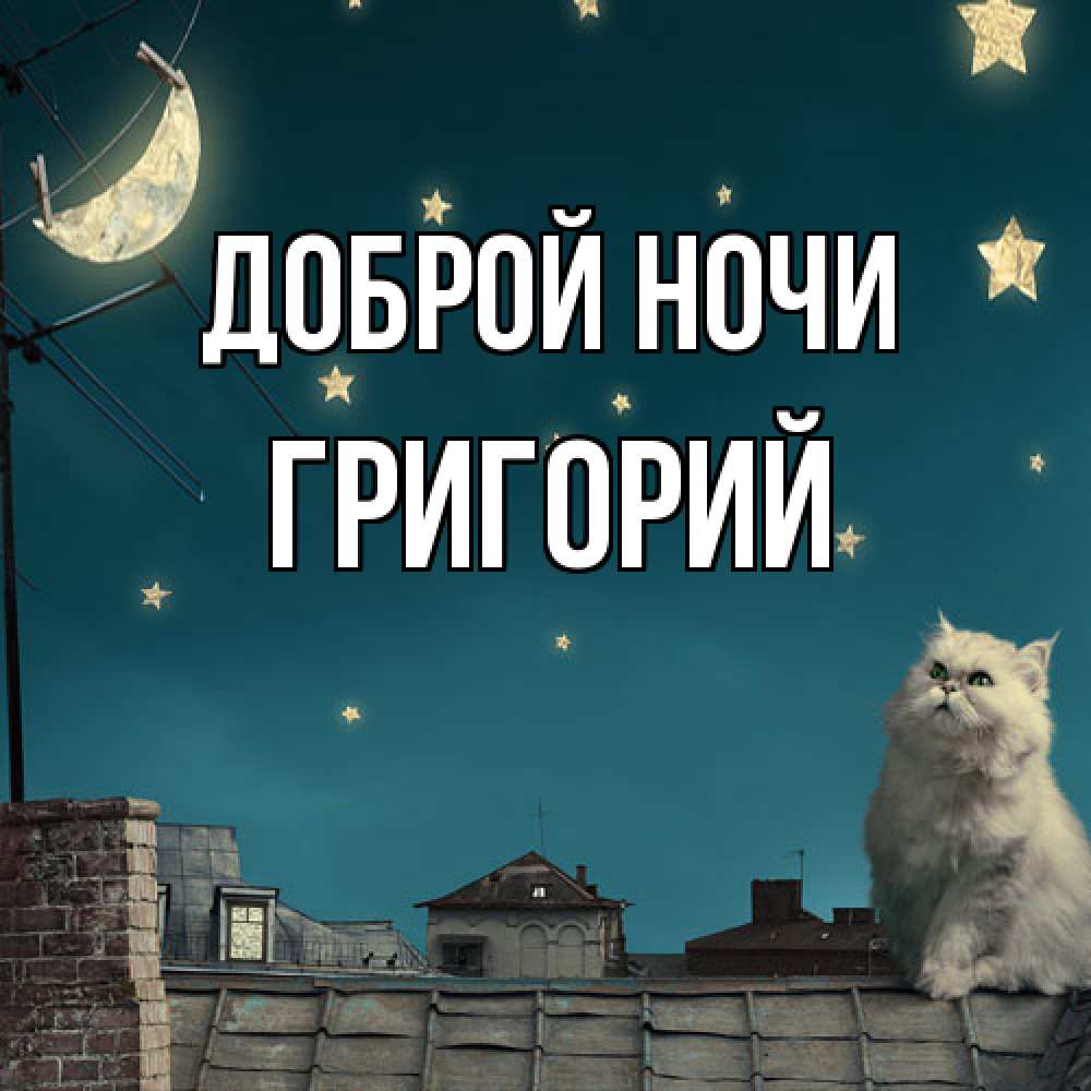 Открытка на каждый день с именем, Григорий Доброй ночи белый кот сидит на крыше Прикольная открытка с пожеланием онлайн скачать бесплатно 