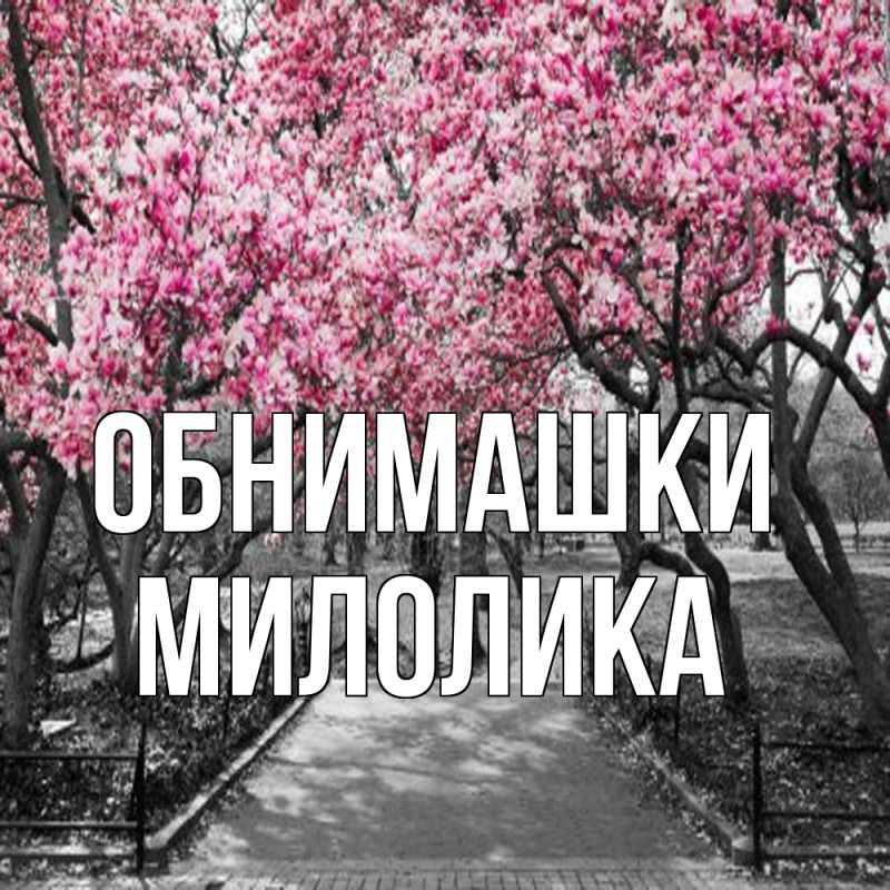 Картинка Обнимашки, Милолика