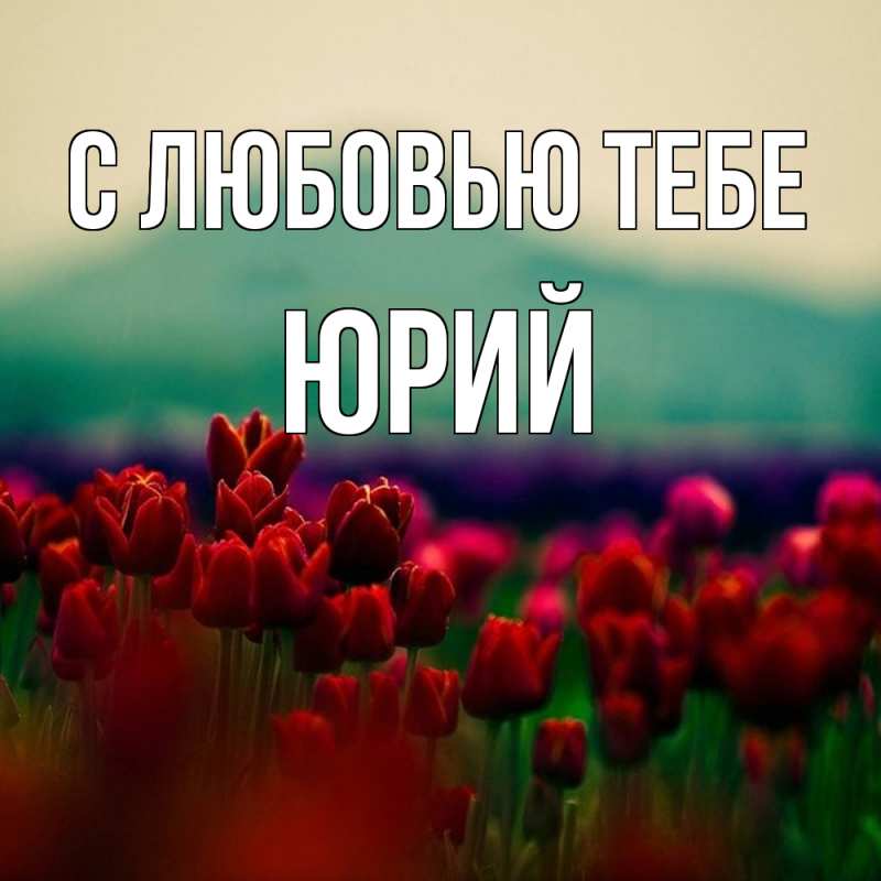Картинка С любовью тебе, Юрий