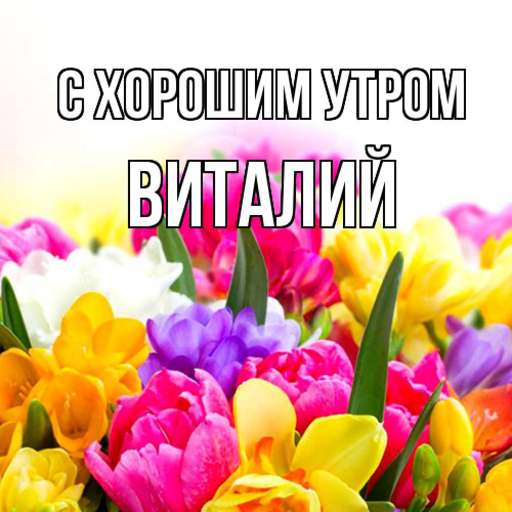 Открытка на каждый день с именем, Виталий С хорошим утром создать открытку со свое подписью Прикольная открытка с пожеланием онлайн скачать бесплатно 