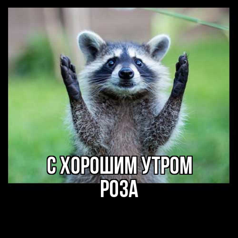 Открытка на каждый день с именем, Роза С хорошим утром хорошее настроение утречком Прикольная открытка с пожеланием онлайн скачать бесплатно 